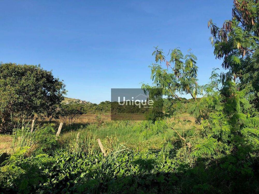 Terreno, 6 hectares - Foto 6