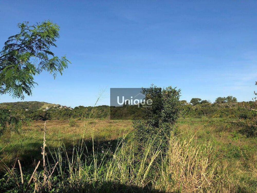 Terreno, 6 hectares - Foto 5