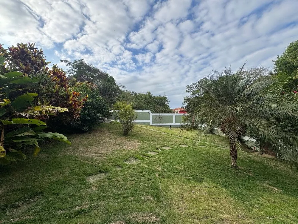 Casa, 4 quartos, 350 m² - Foto 34