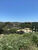 Terreno, 1500 m² - Foto 2