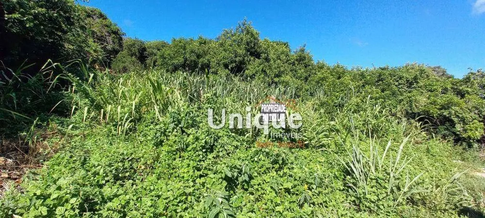 Terreno, 1000 m² - Foto 1