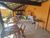 Pousada-Chalé, 17 quartos, 600 m² - Foto 2