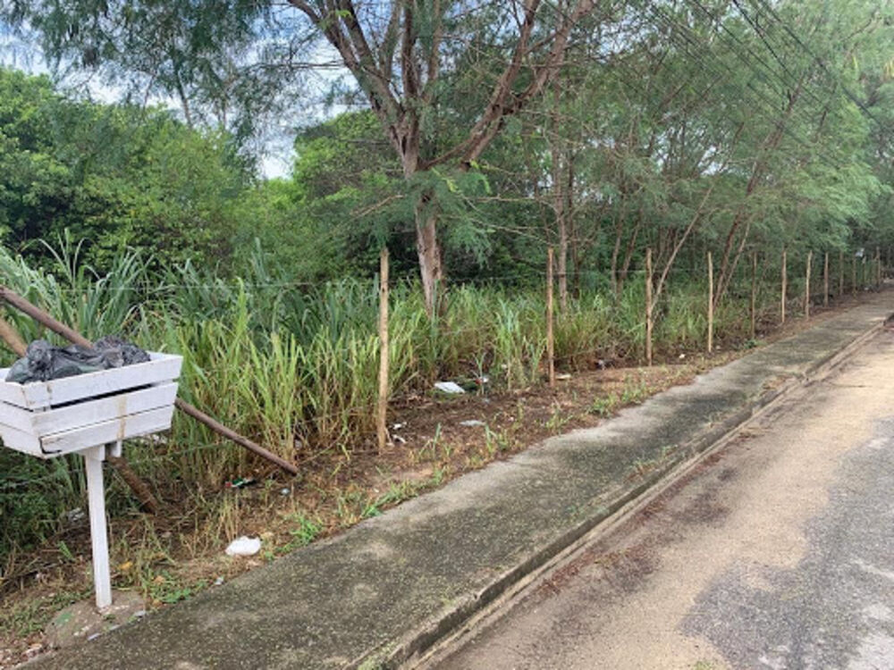 Terreno, 663 m² - Foto 3