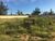 Terreno, 680 m² - Foto 1