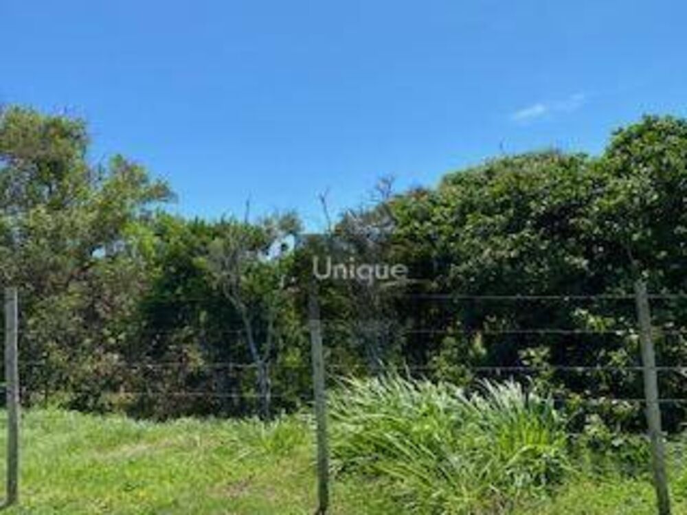 Terreno, 1825 m² - Foto 3