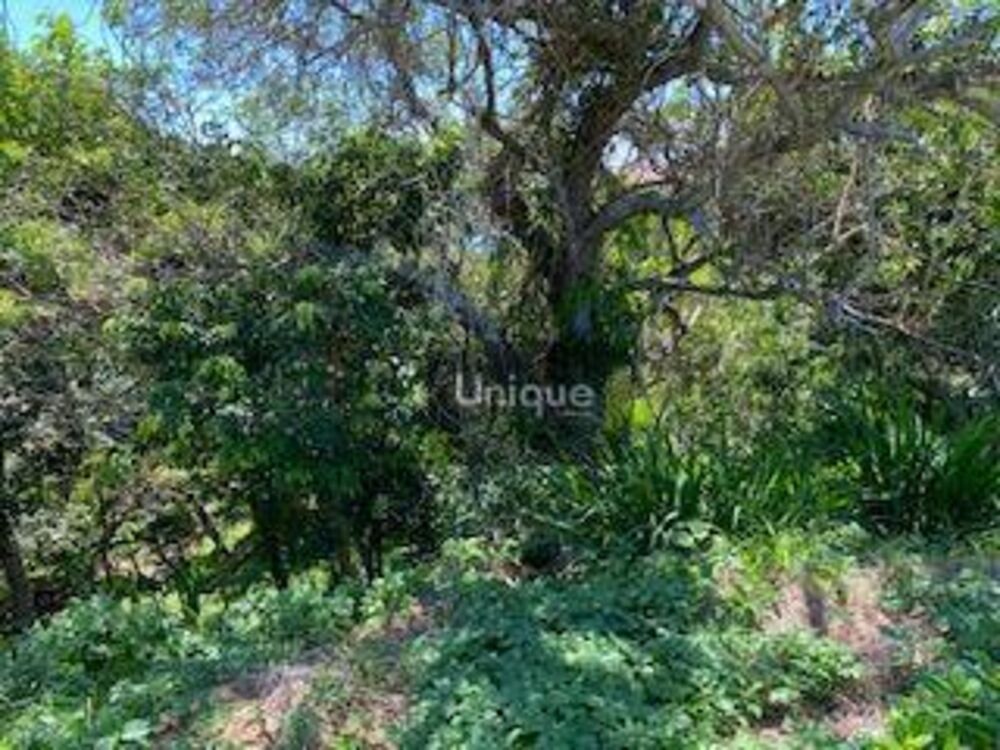 Terreno, 1825 m² - Foto 4