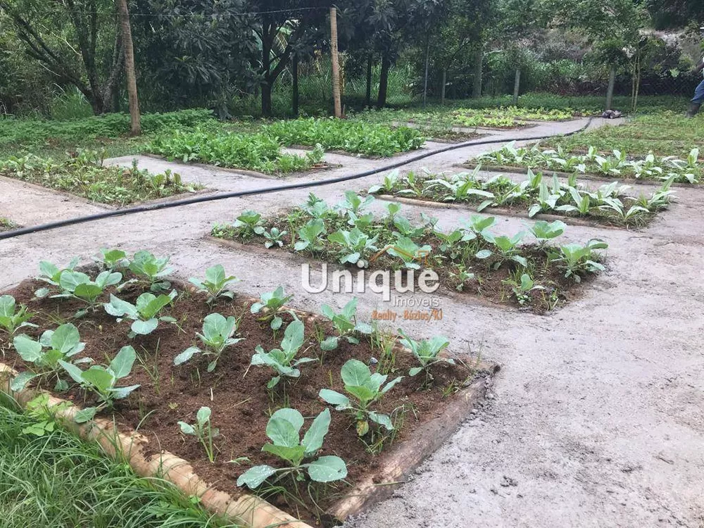 Sítio, 4 quartos, 2 hectares - Foto 33