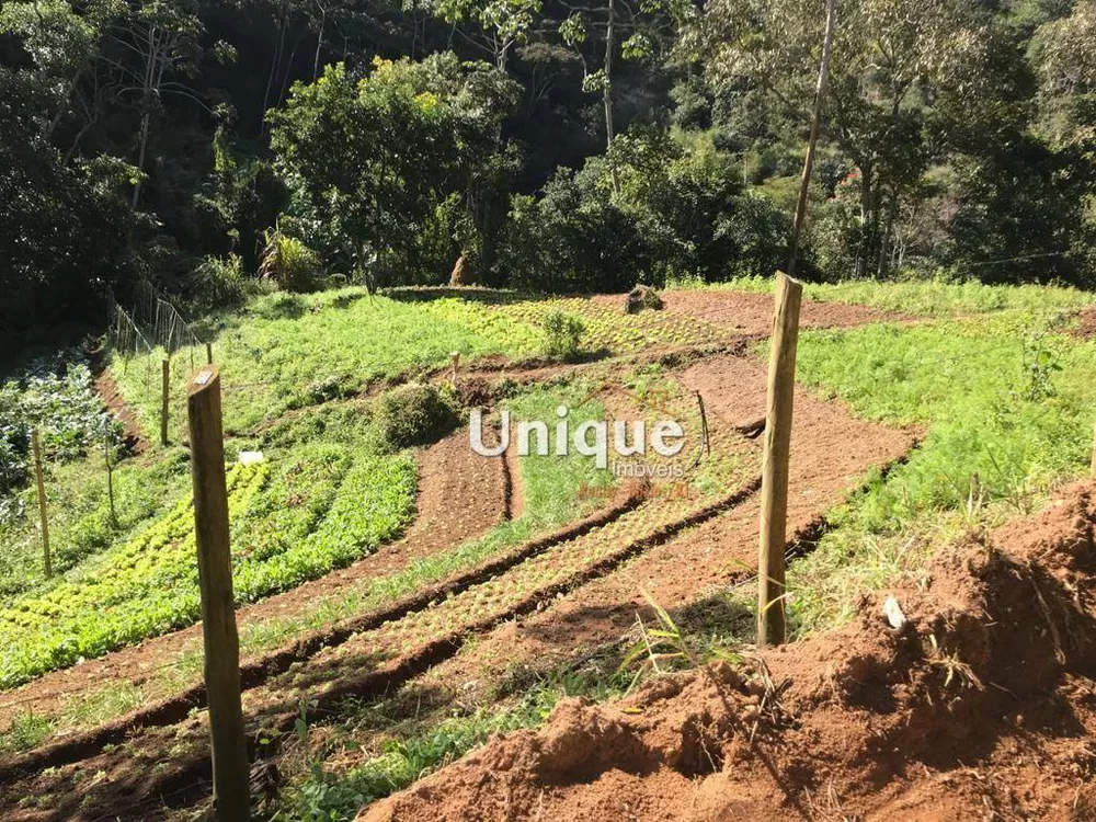 Sítio, 4 quartos, 2 hectares - Foto 32