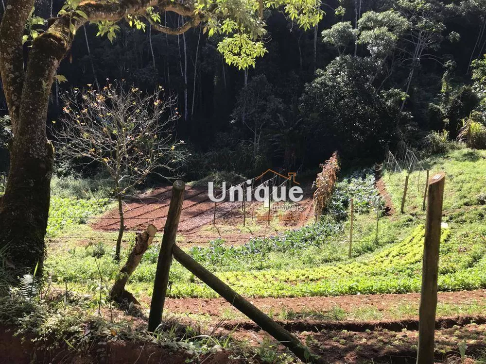Sítio, 4 quartos, 2 hectares - Foto 31