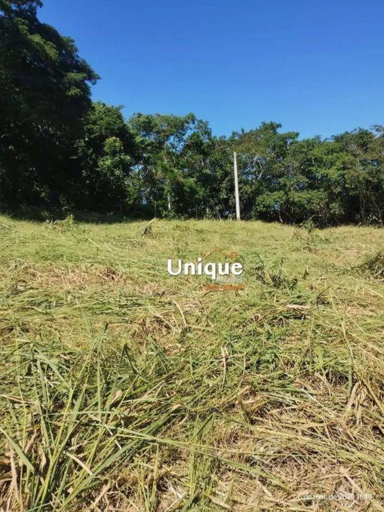 Terreno, 4500 m² - Foto 4