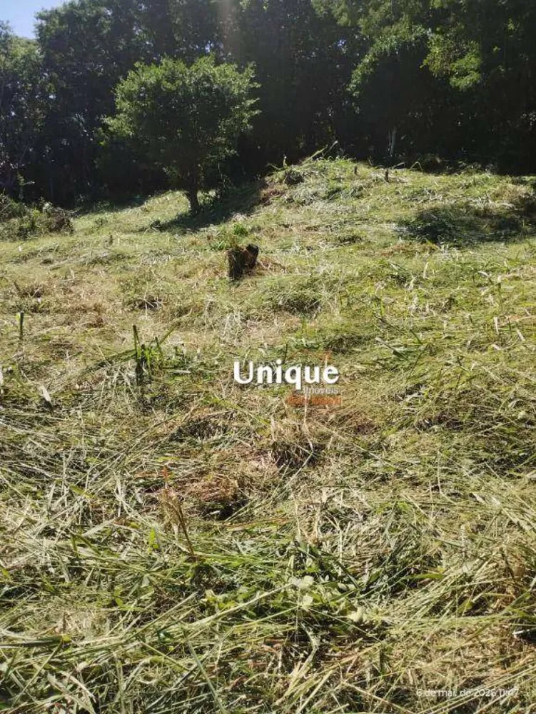 Terreno, 4500 m² - Foto 3