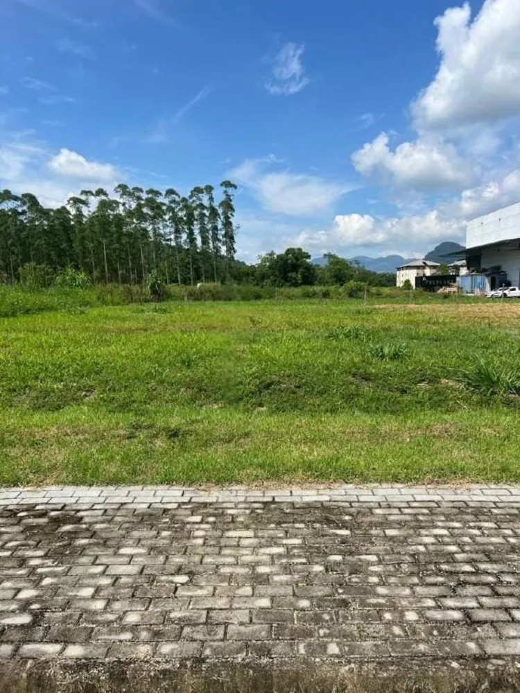 Terreno, 302 m² - Foto 4