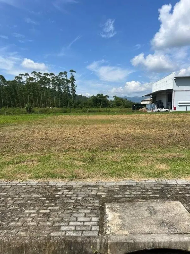 Terreno, 302 m² - Foto 8