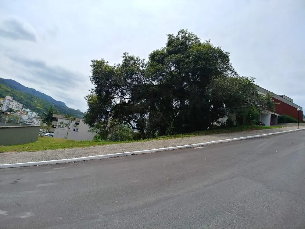 Terreno, 1851 m² - Foto 5