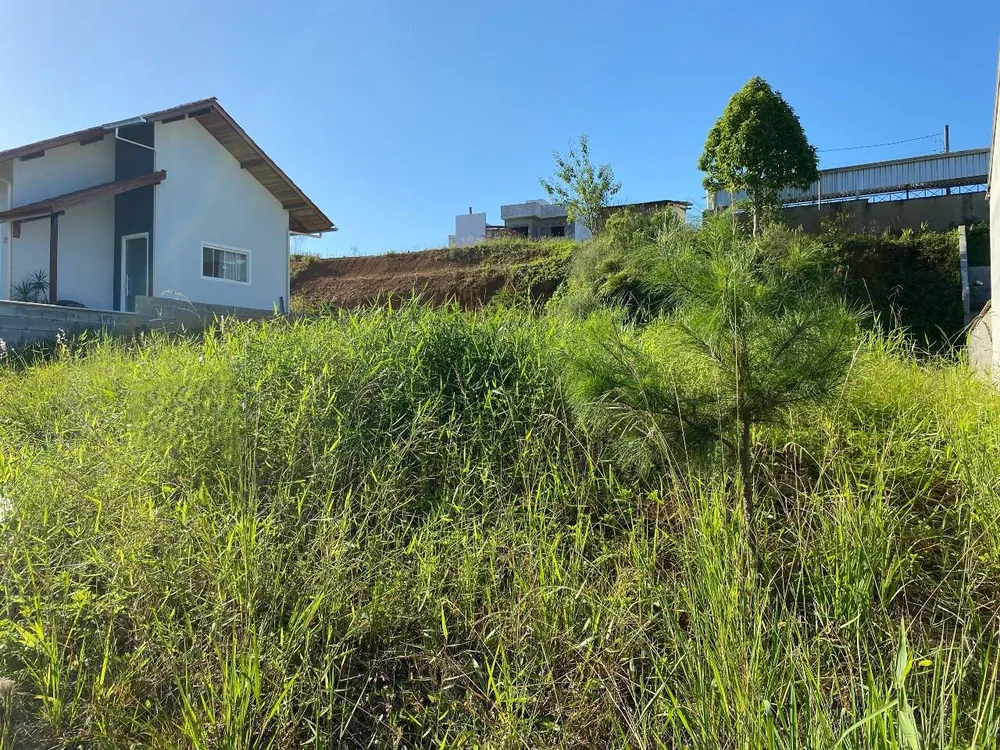 Terreno, 338 m² - Foto 3