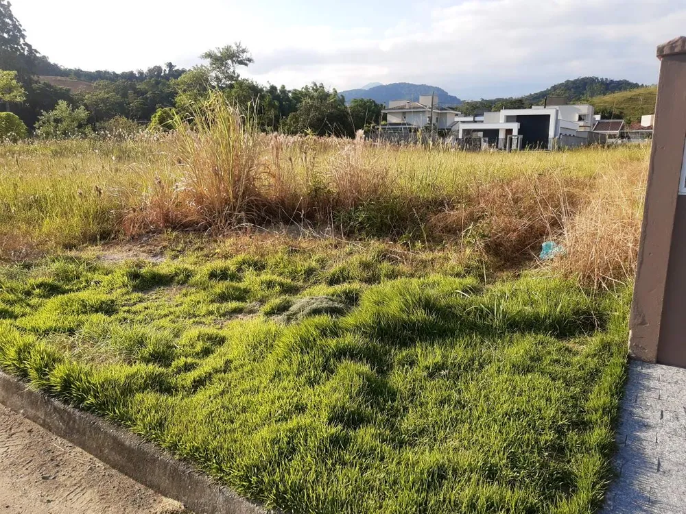 Terreno, 335 m² - Foto 6