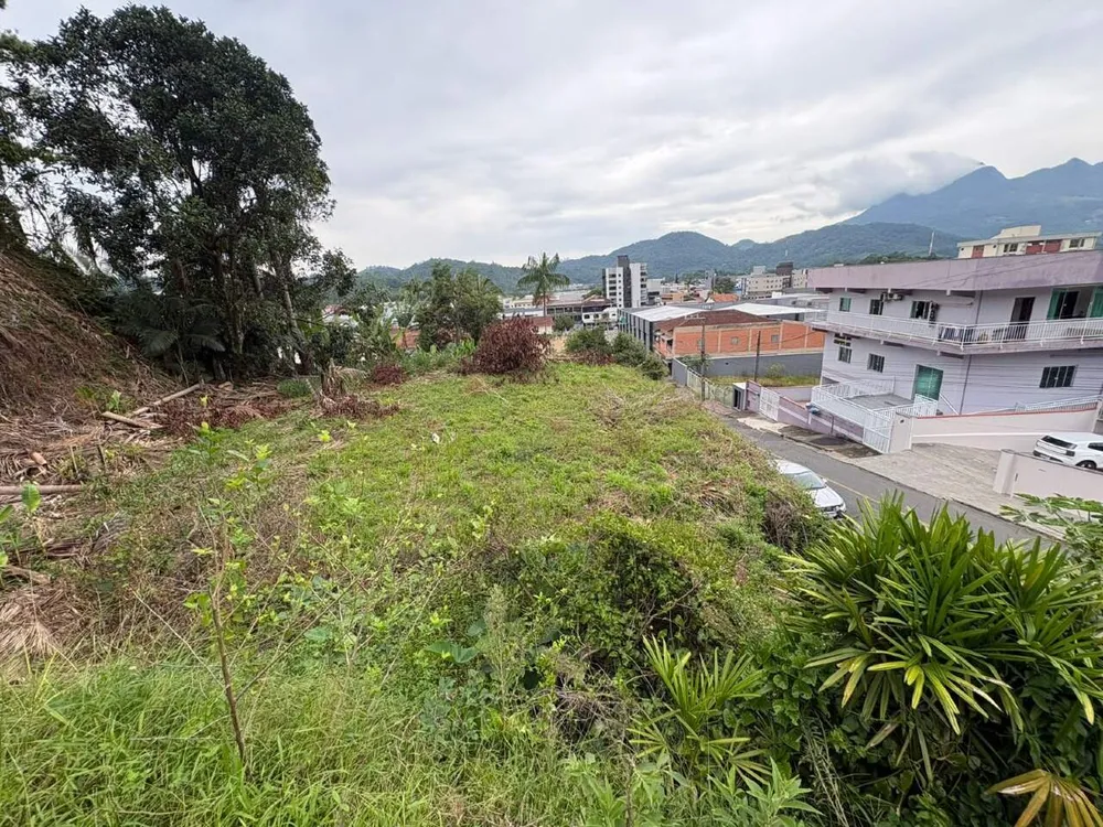 Terreno, 70 hectares - Foto 2