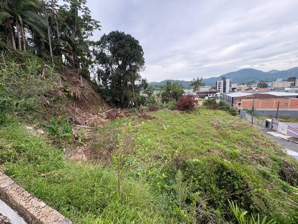 Terreno, 70 hectares - Foto 3