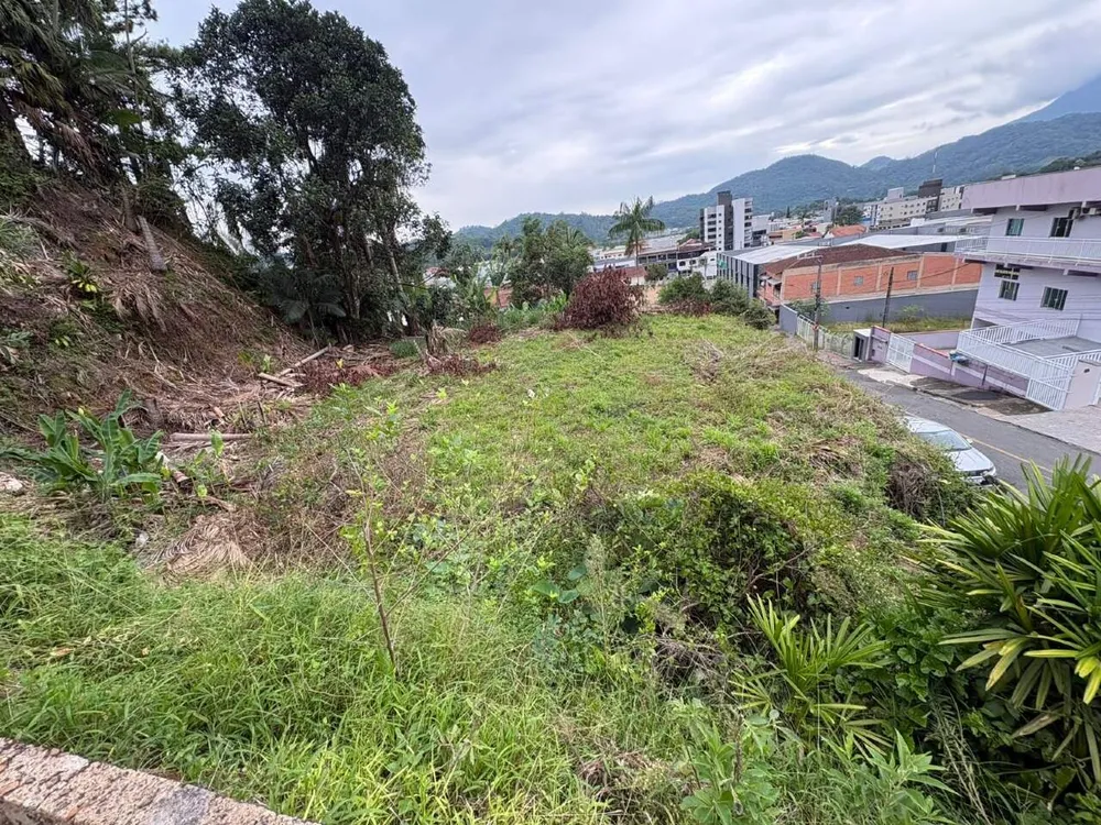 Terreno, 70 hectares - Foto 1