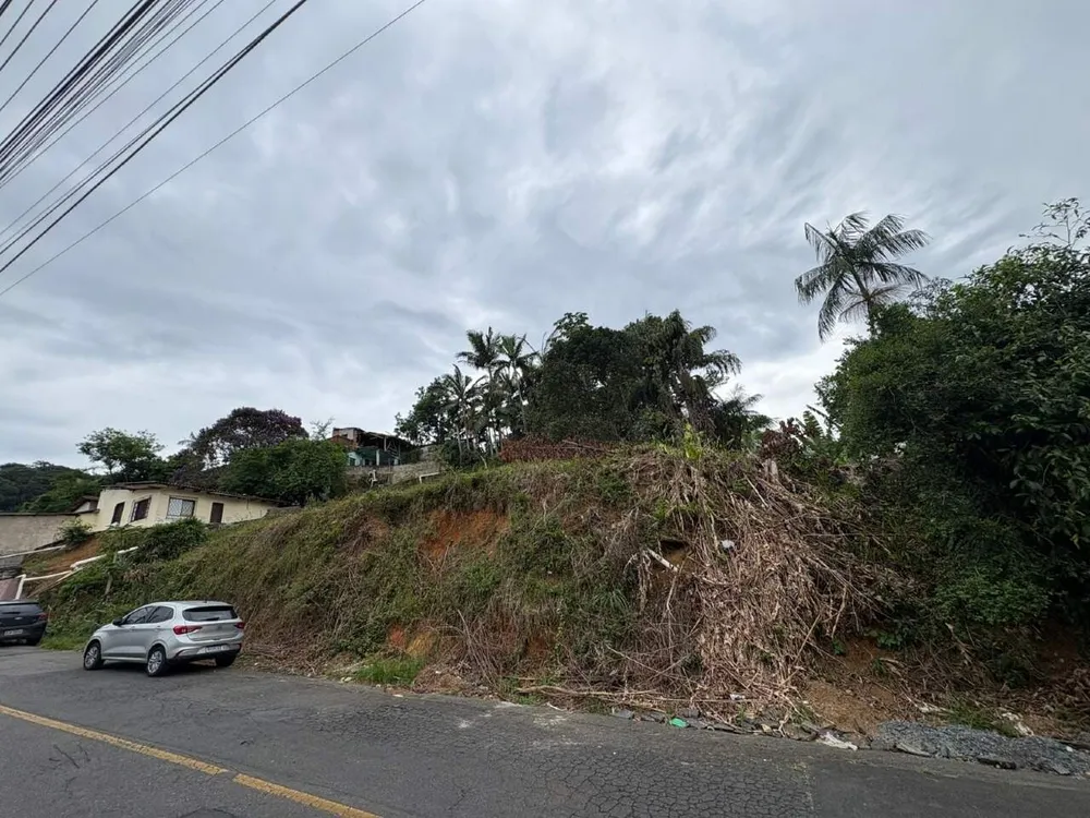 Terreno, 70 hectares - Foto 4