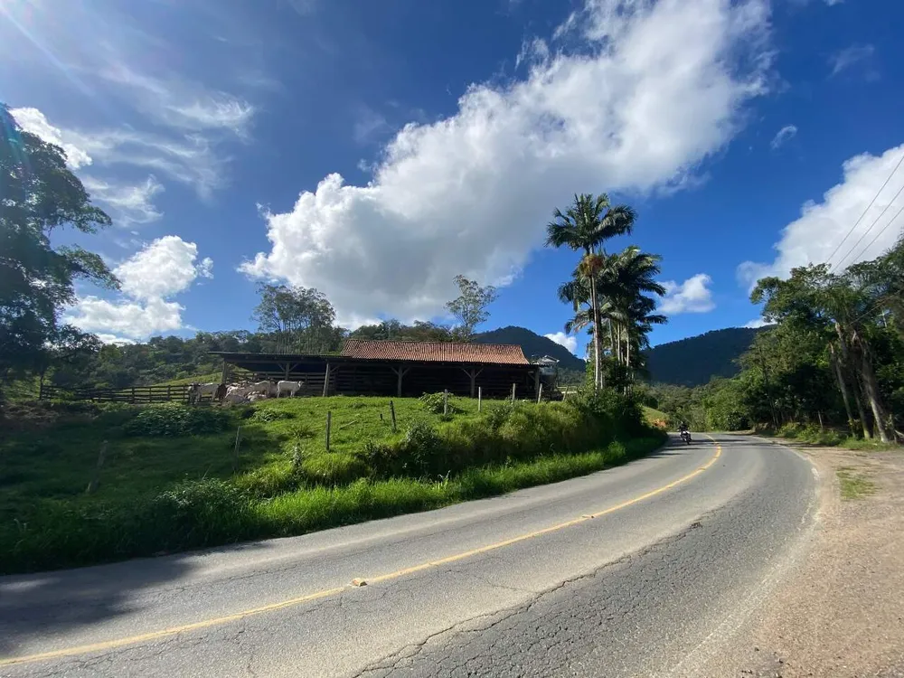 Terreno, 4 hectares - Foto 10