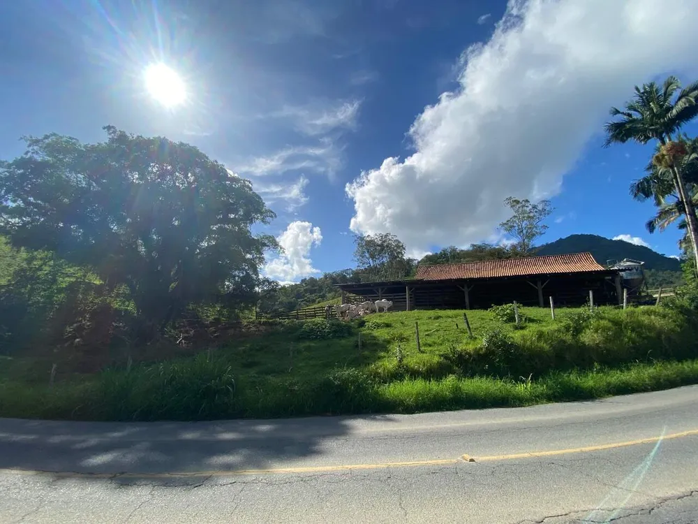 Terreno, 4 hectares - Foto 8