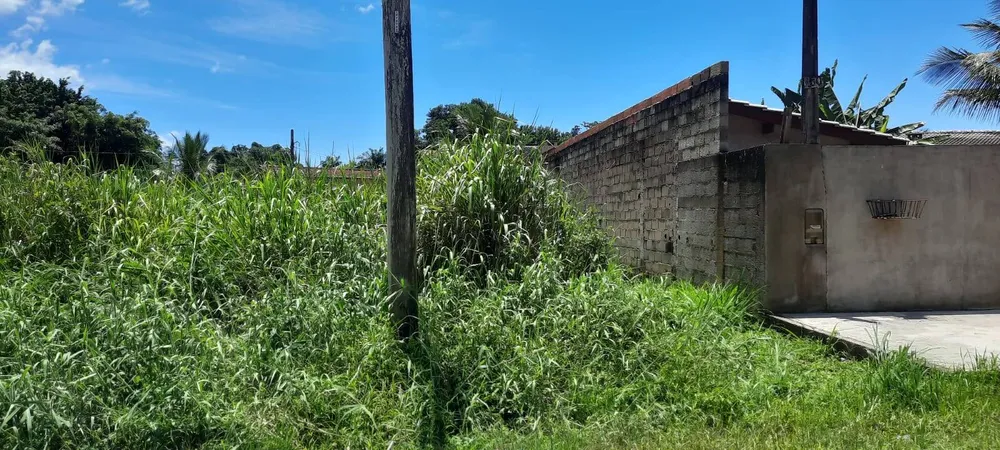 Terreno - Foto 5