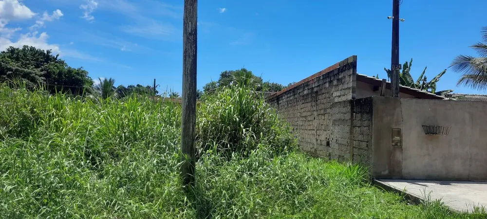 Terreno - Foto 4
