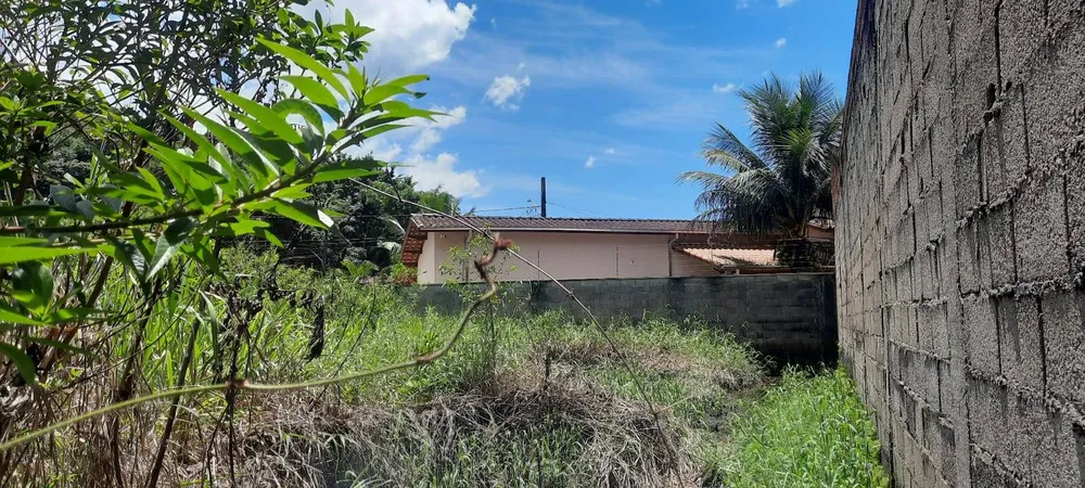 Terreno - Foto 7