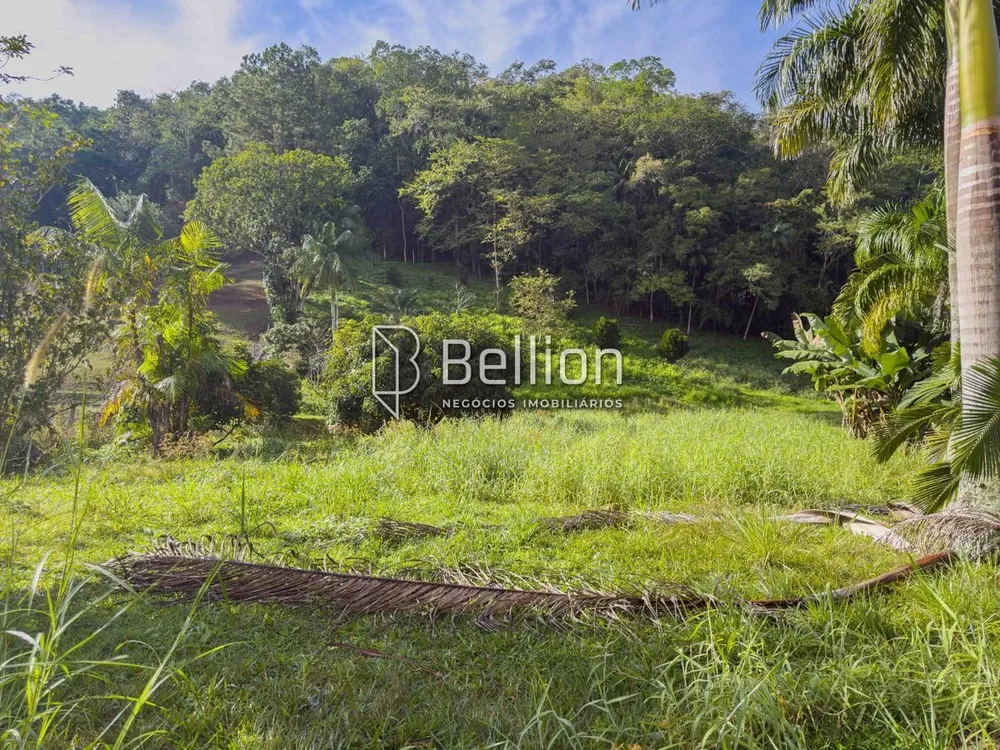 Terreno, 2 hectares - Foto 4