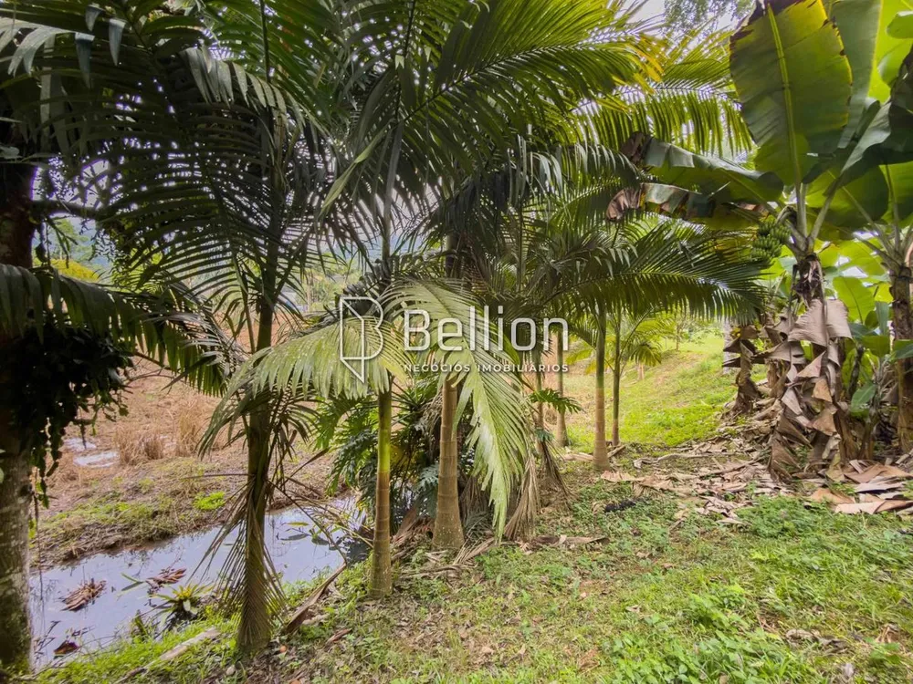Terreno, 2 hectares - Foto 3