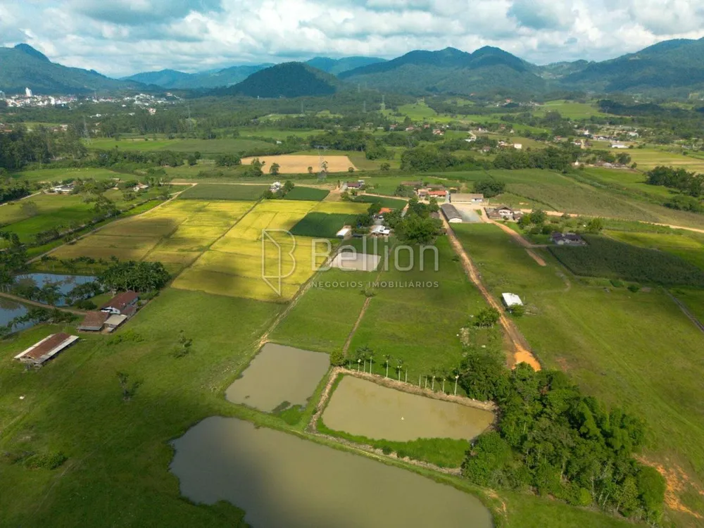 Sítio, 3 quartos, 2 hectares - Foto 3