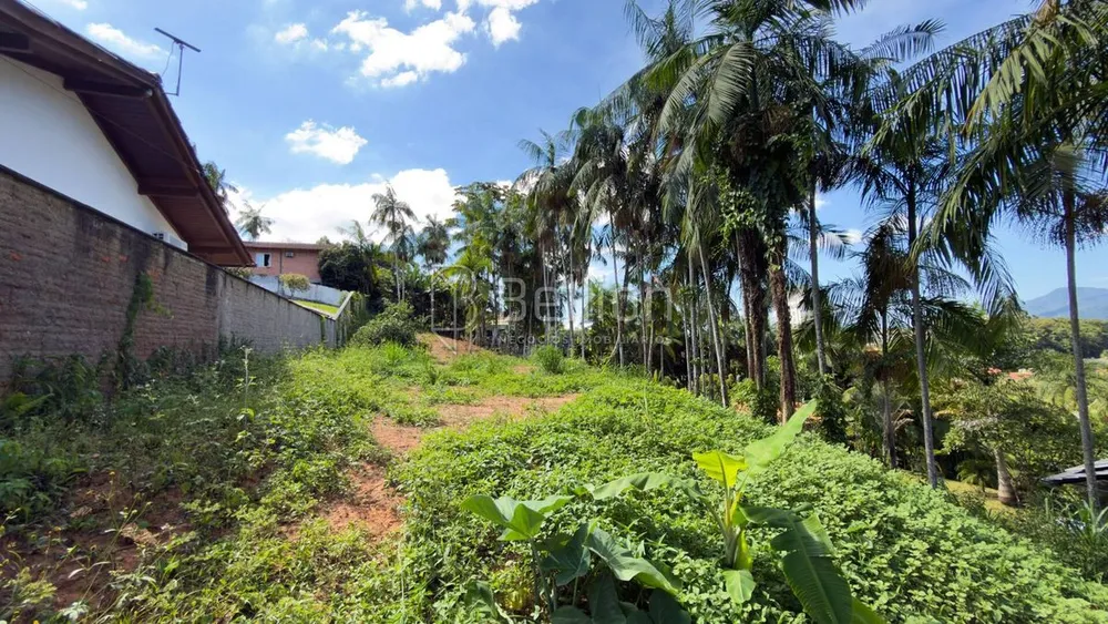 Terreno, 979 m² - Foto 1