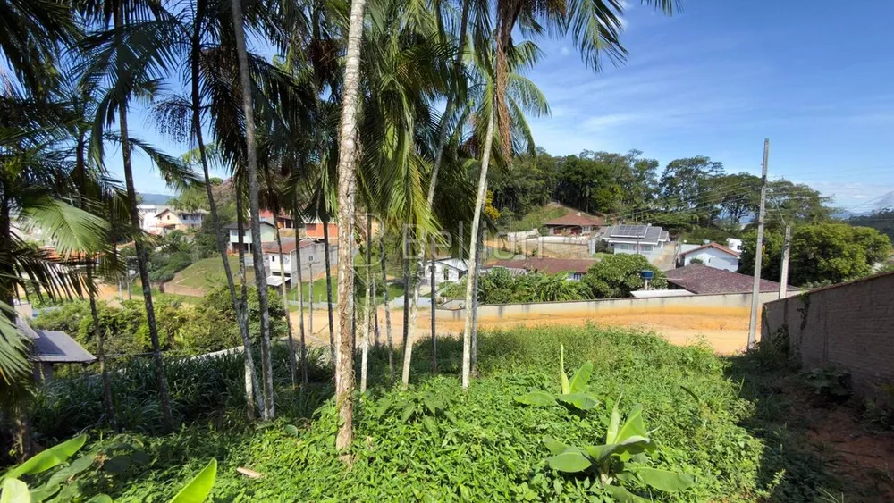 Terreno, 979 m² - Foto 3