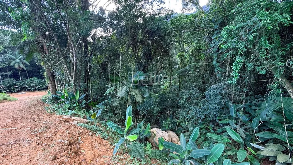 Terreno, 5 hectares - Foto 2
