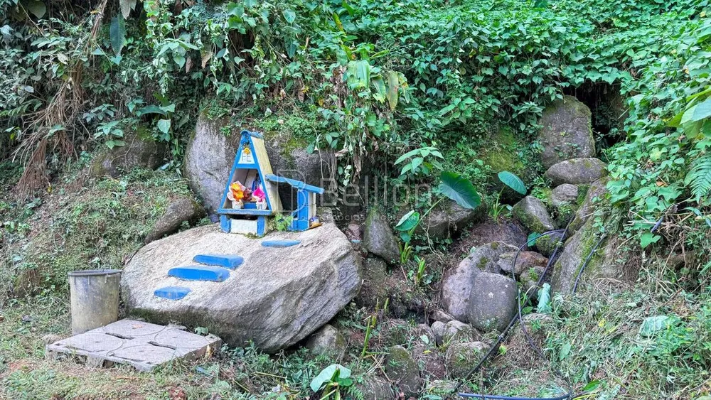 Terreno, 5 hectares - Foto 1