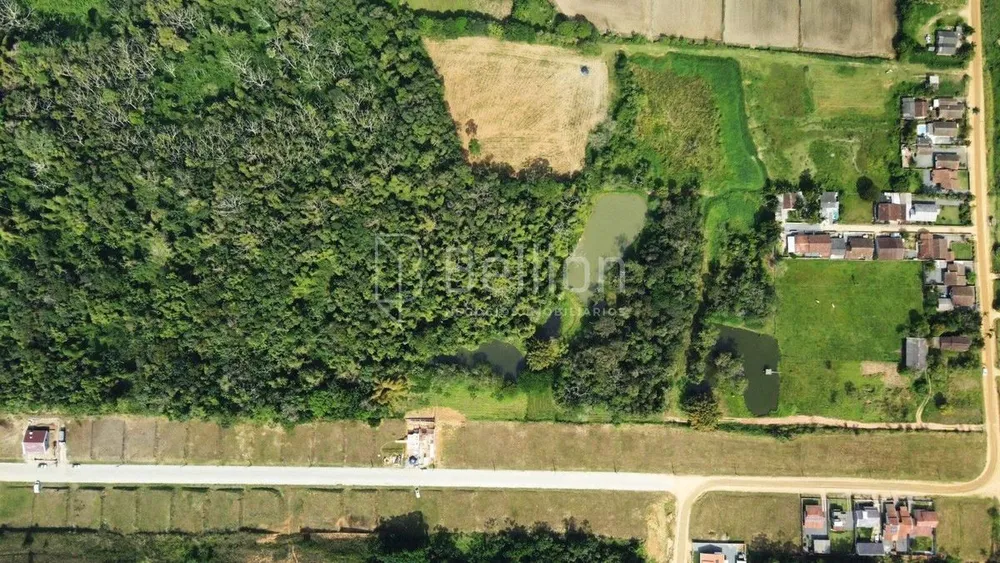 Terreno, 6 hectares - Foto 4