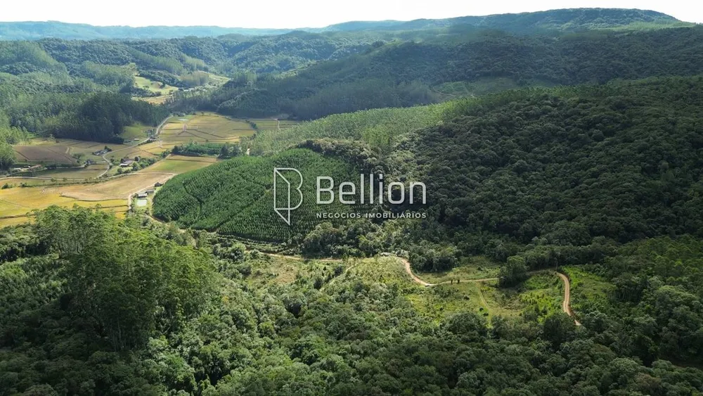 Terreno, 2 hectares - Foto 4
