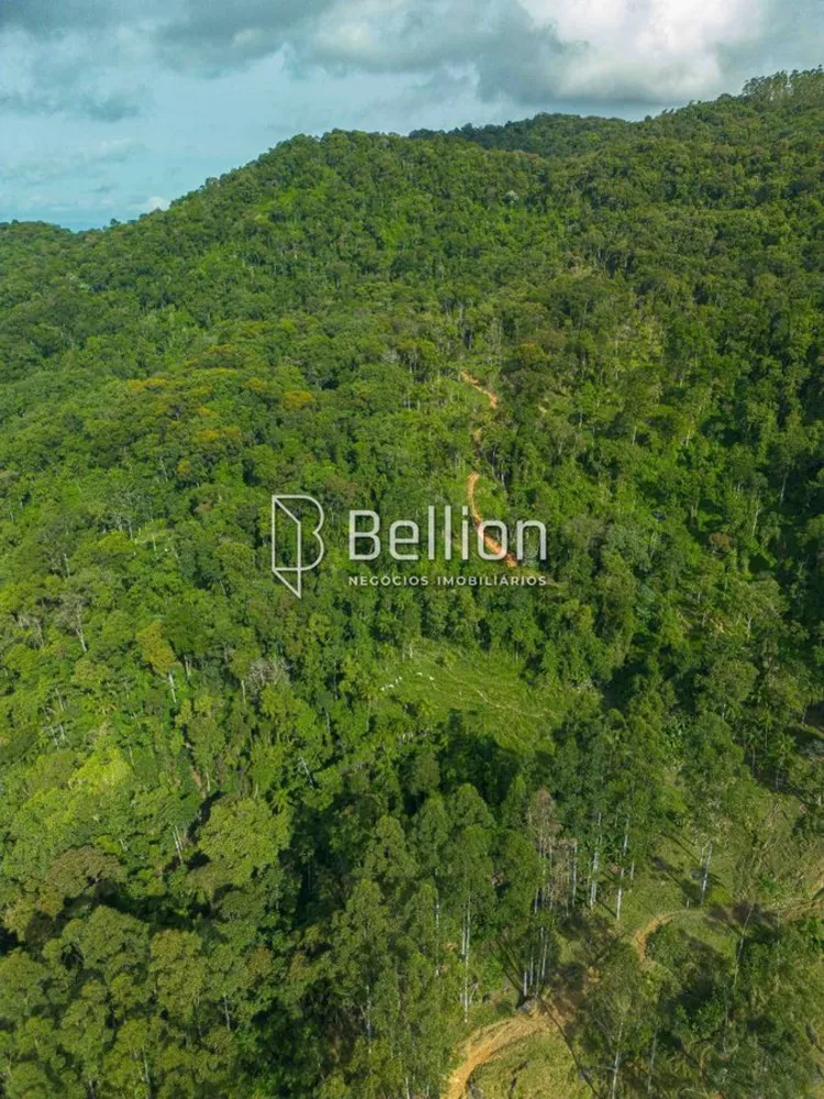 Terreno, 27 hectares - Foto 4