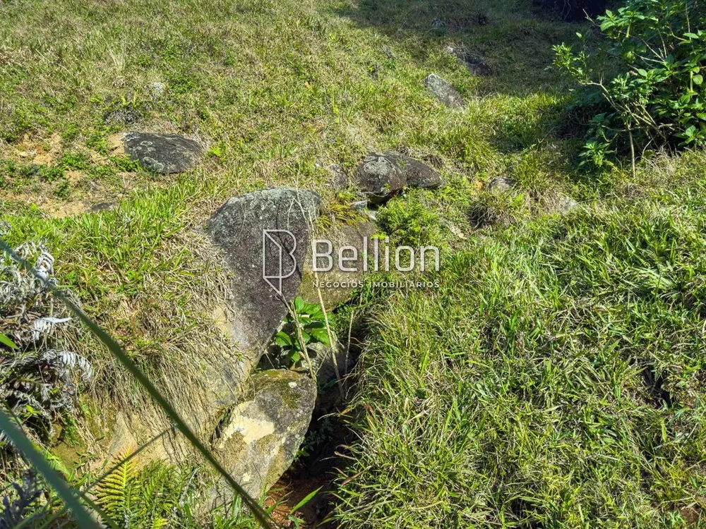 Terreno, 27 hectares - Foto 2