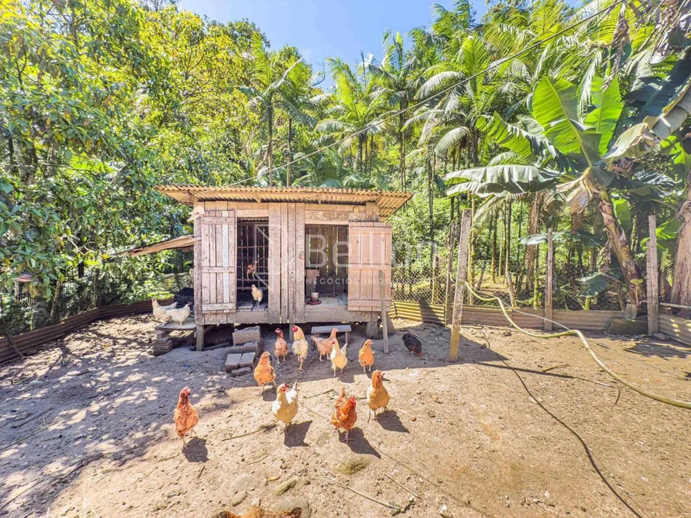 Sítio, 4 quartos, 1800 m² - Foto 4