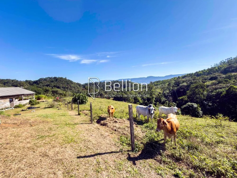 Sítio, 3 quartos, 8 hectares - Foto 1