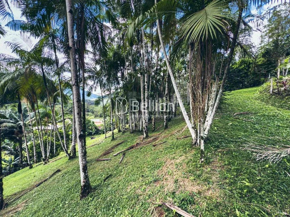 Sítio, 6 quartos, 11 hectares - Foto 4