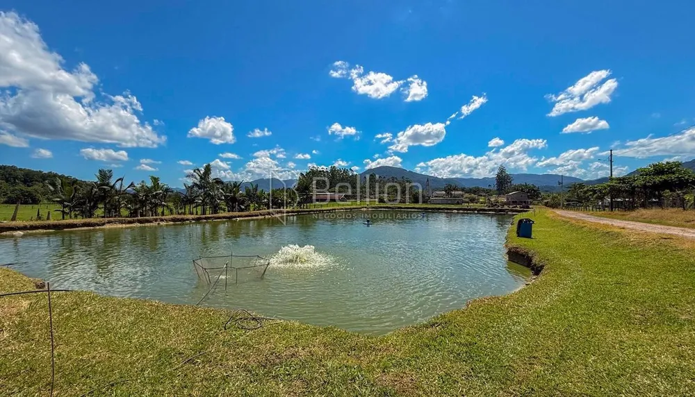 Sítio, 9 quartos, 10 hectares - Foto 4
