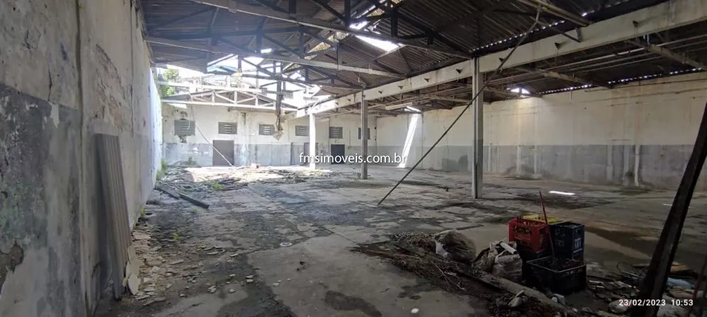 Depósito-Galpão, 1000 m² - Foto 3