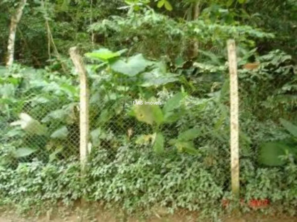 Terreno - Foto 3