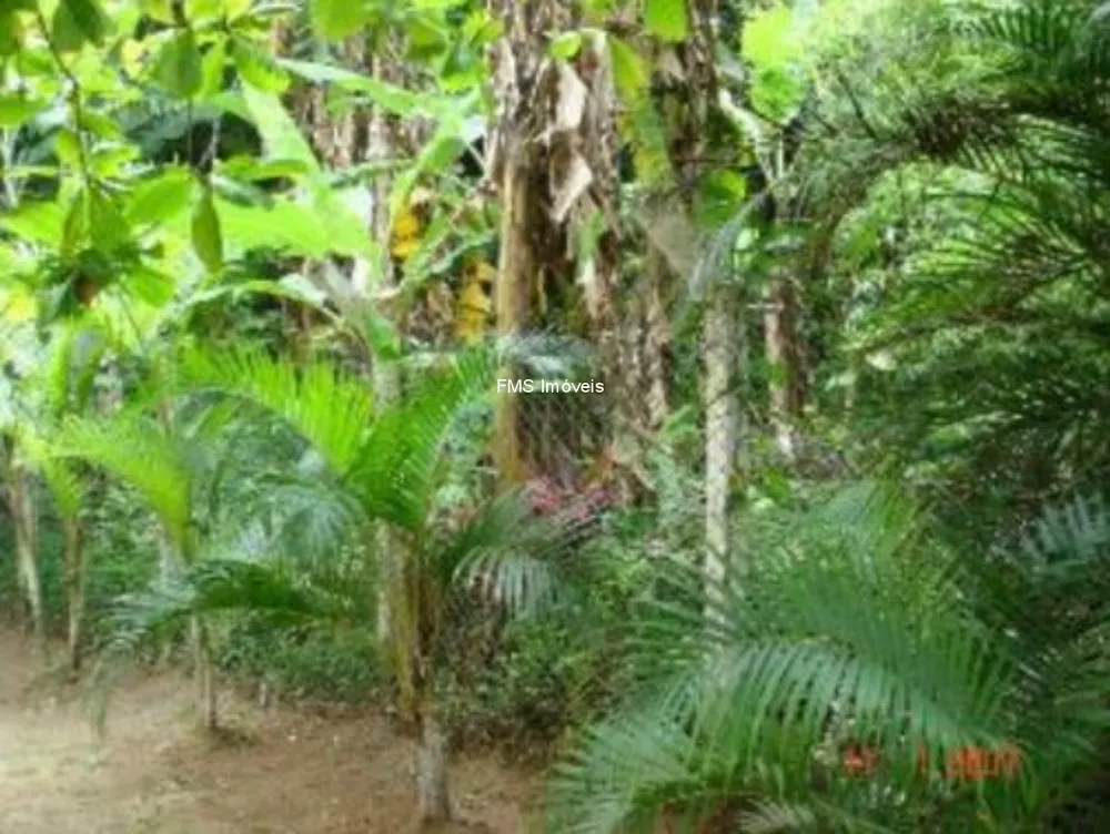 Terreno - Foto 2