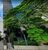Sala-Conjunto, 118 m² - Foto 1