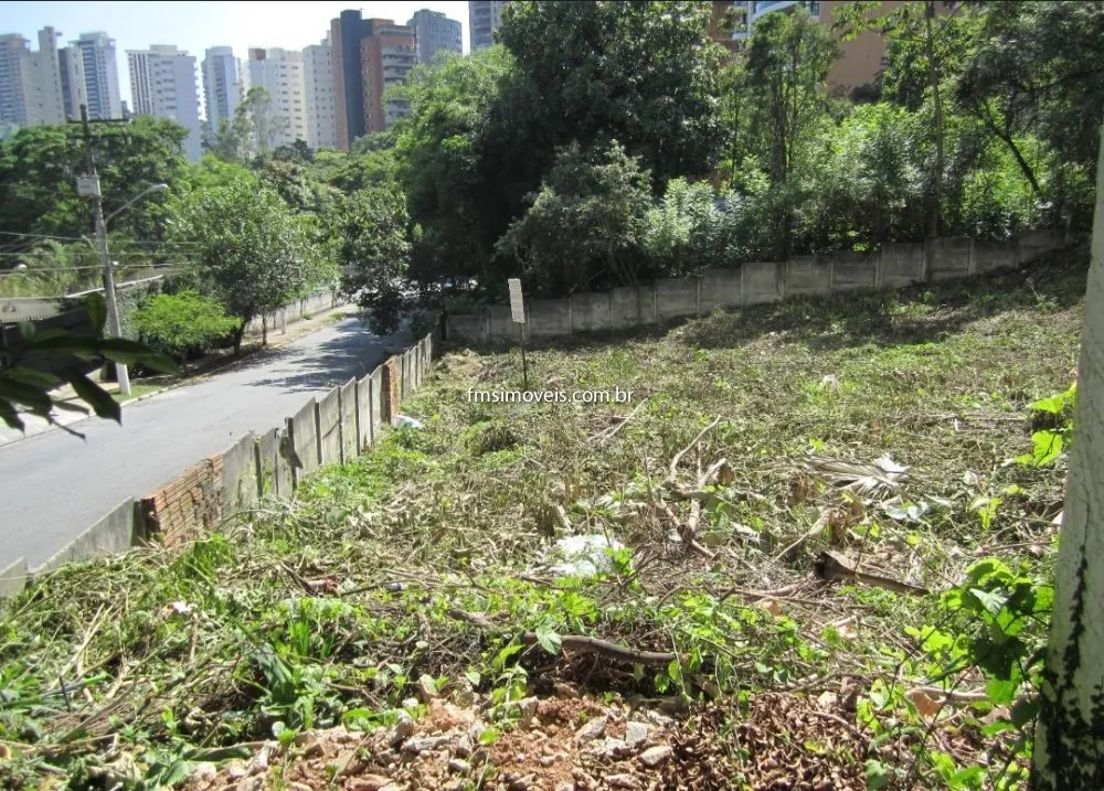 Terreno, 4931 m² - Foto 7