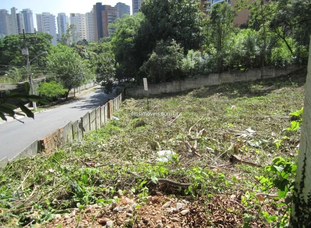 Terreno, 4931 m² - Foto 6
